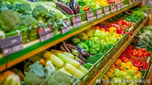 農(nóng)藥殘留與消殺用品檢測設(shè)備概覽