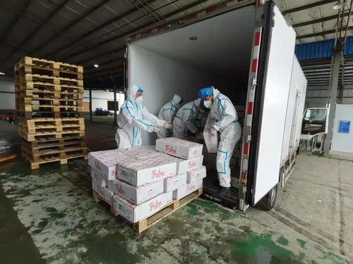 嚴管筑牢防線，四川首個進口冷鏈食品集中監管倉在廣漢啟用